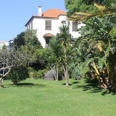 Jasmineiro - Palms Palace Apartment Funchal (Madeira) Exterior foto