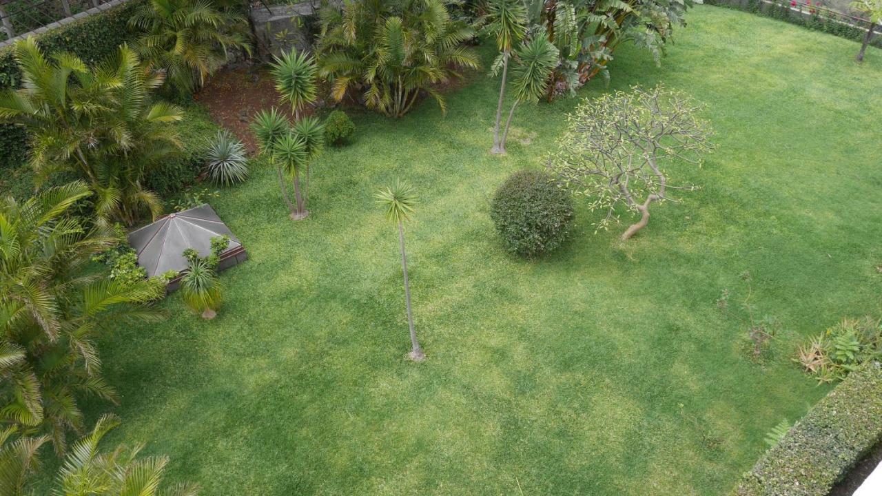 Jasmineiro - Palms Palace Apartment Funchal (Madeira) Exterior foto